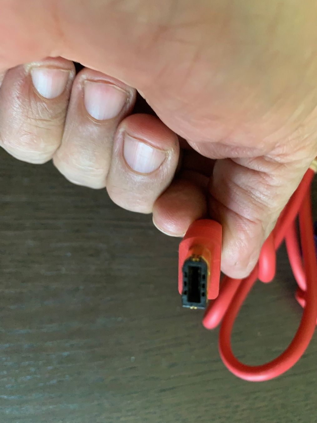 Lecteurs & Adaptateurs: Pinnacle Systems BlueBOX Adapter Kabel Rot 40160734 – D'occasion à Emmen par newdeal1970 3