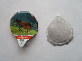 KRD Concours Hippique Serie 767