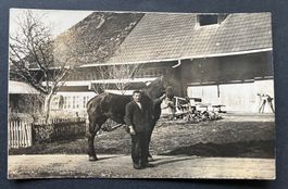 Oberulmiz, BE, Mann mit Pferd ,Fanny‘, Bauernhof /1915