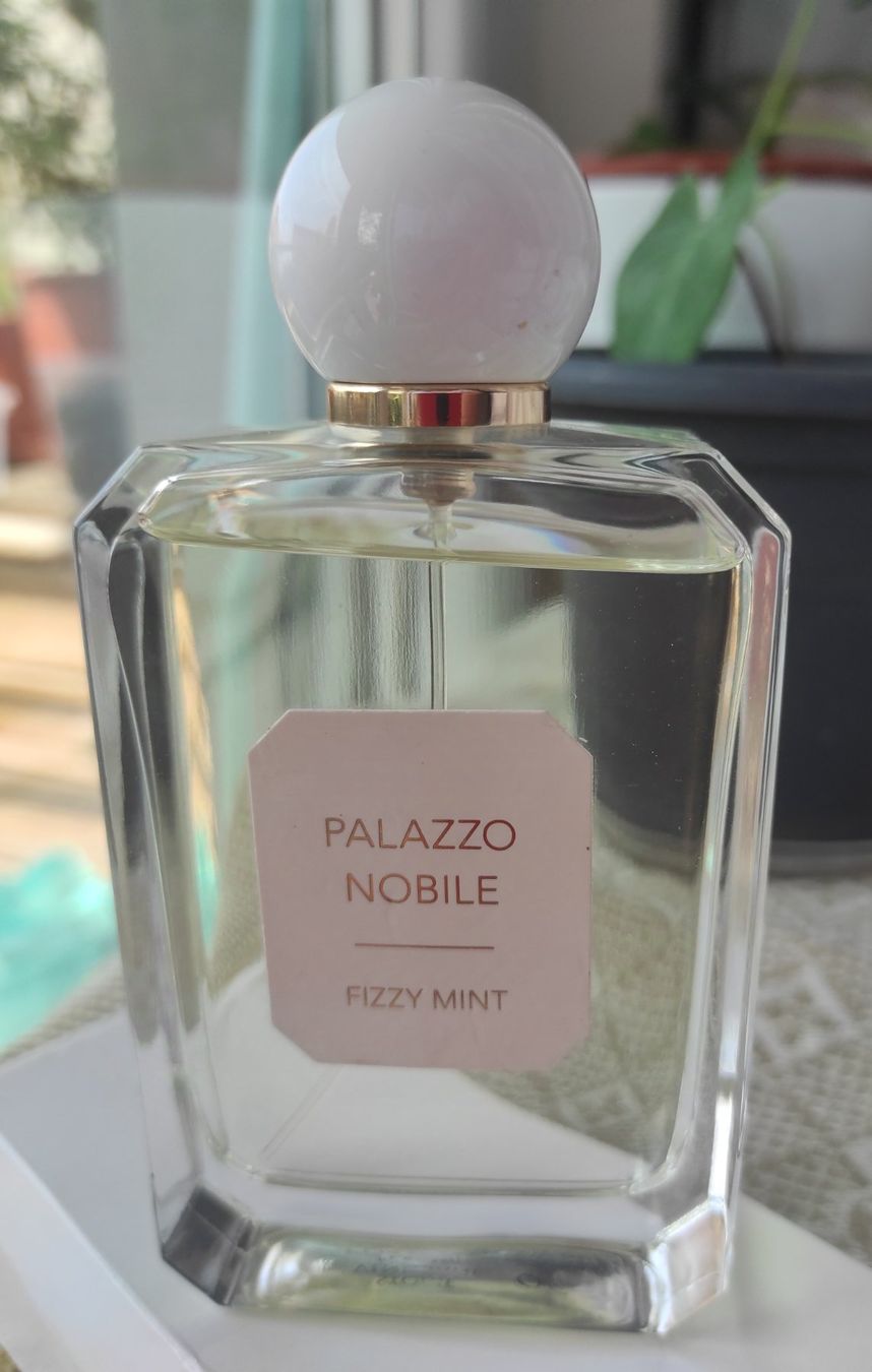 Profumi & Eau de Toilette: Palazzo Nobile Fizzy Mint Valmont 100ml – Usato da Renens VD venduto da cla_7zv5