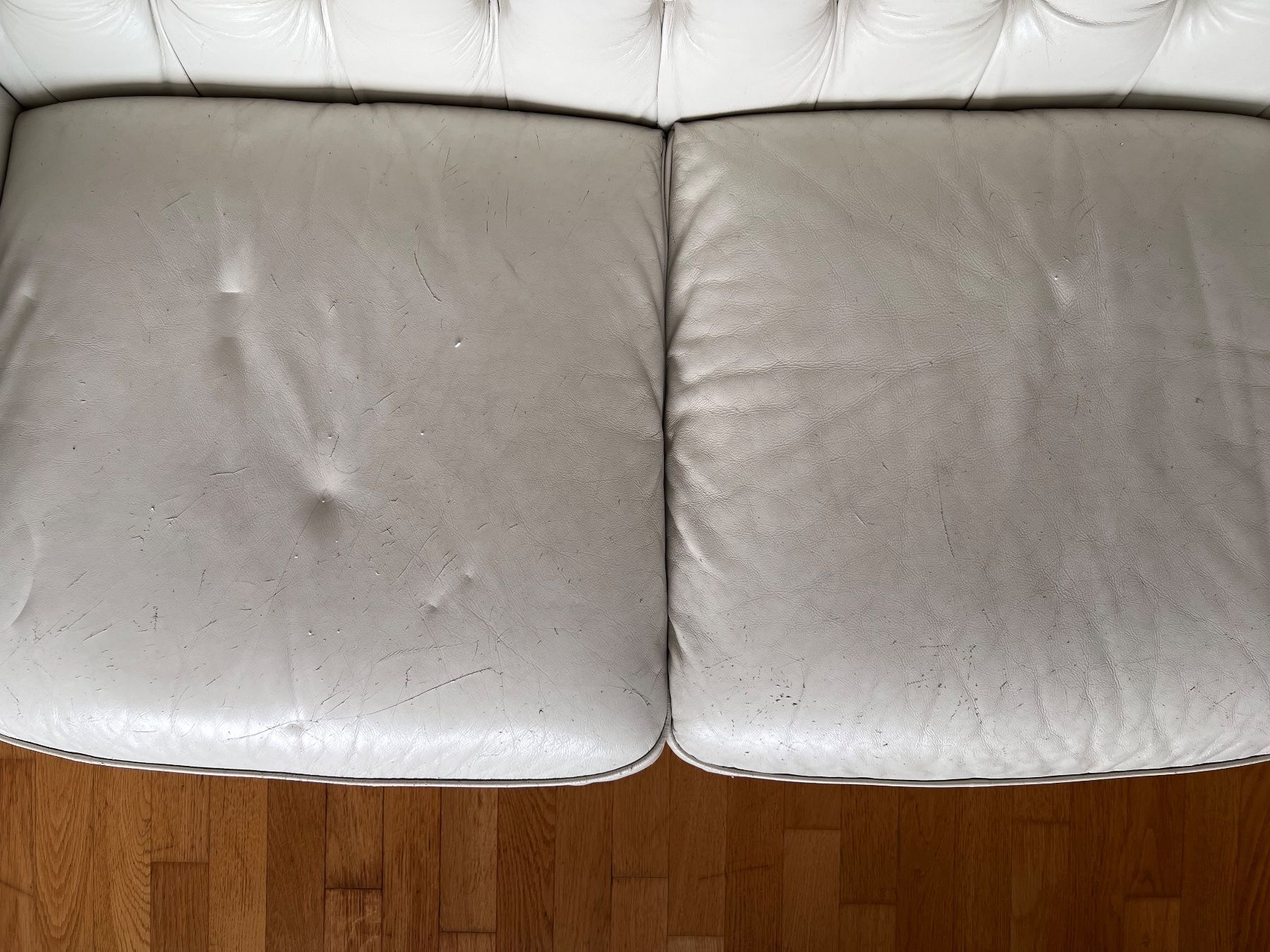 Sofas: Chesterfield Sofa – Gebraucht aus Wallisellen von lara_sm 2