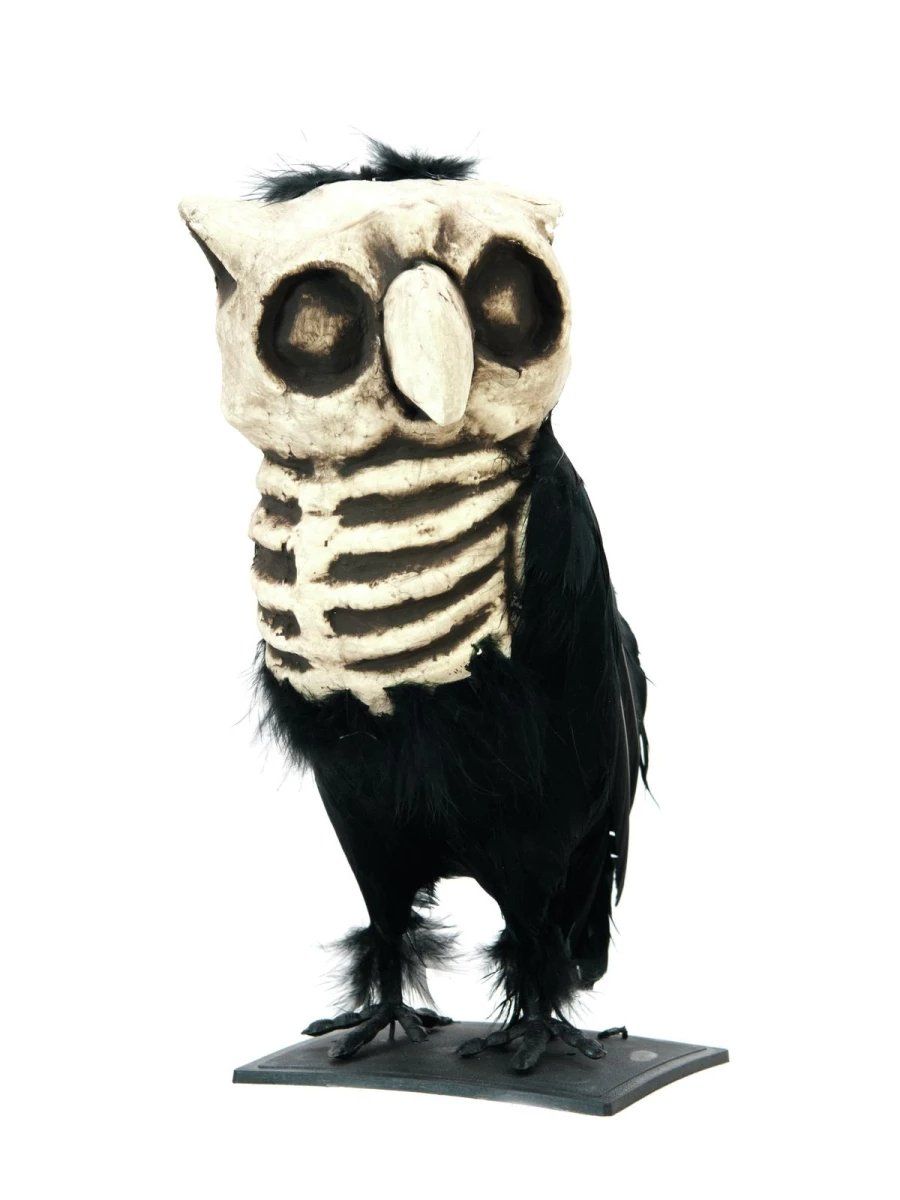 Figurines: EUROPALMS Eule Horror – Neuf avec emballage d'origine à Däniken SO par Profog1
