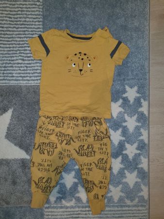 Baby Set Zara und C & A Shirt Hose Tiger
