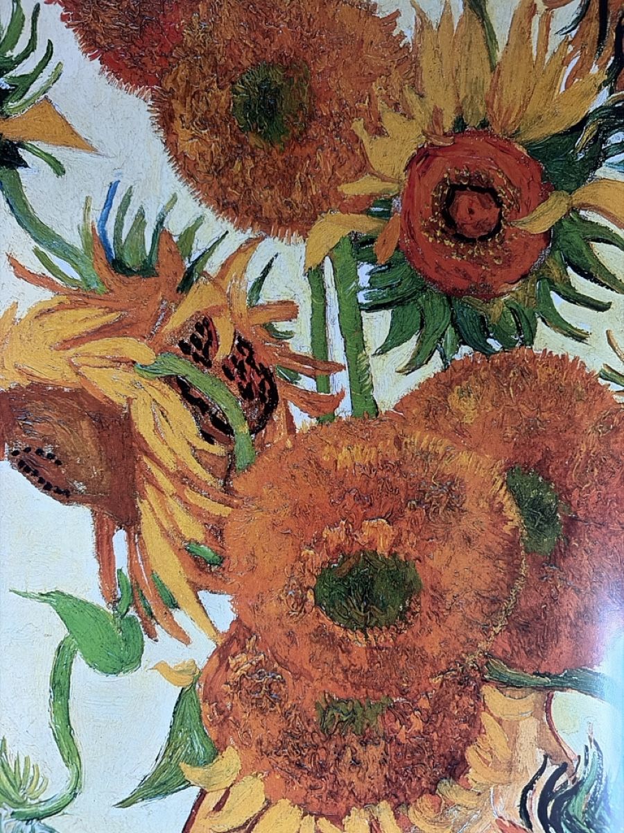 Bücher: Buch Vincent Van Gogh 1853-1890 Kunst – Gebraucht aus basel von Zofy 3