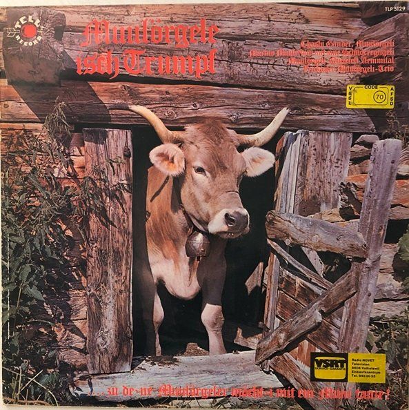 Dischi in vinile: Muulörgele isch Trumpf (LP) – Usato da Grüningen venduto da azulmarron 3