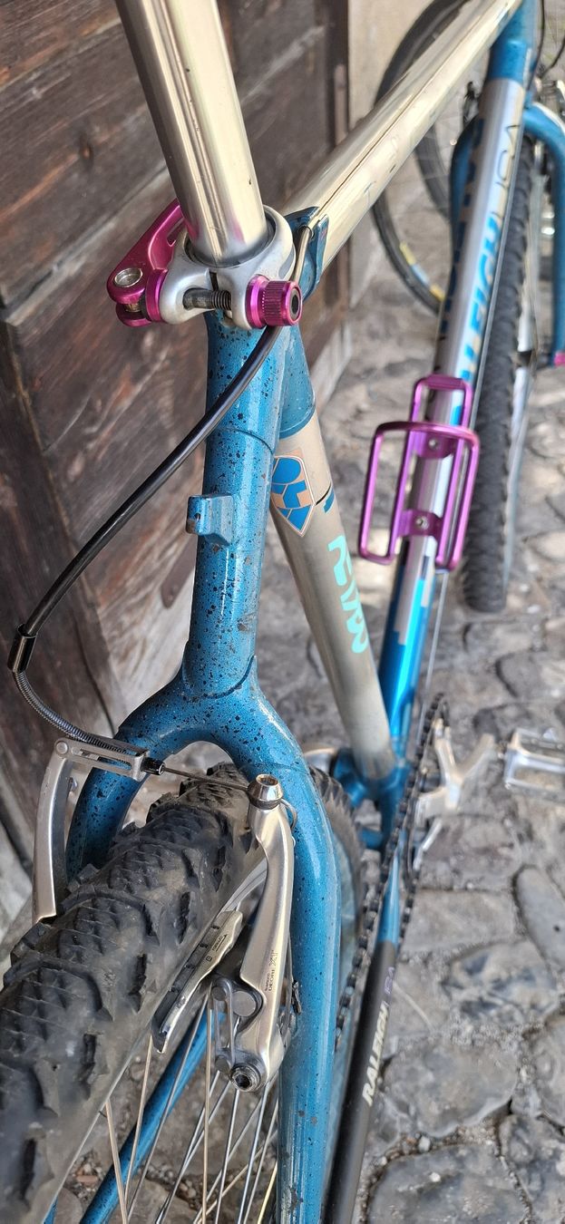 Raleigh Velos: Kult MTB Raleigh – Gebraucht aus Adliswil von trujillo01 3