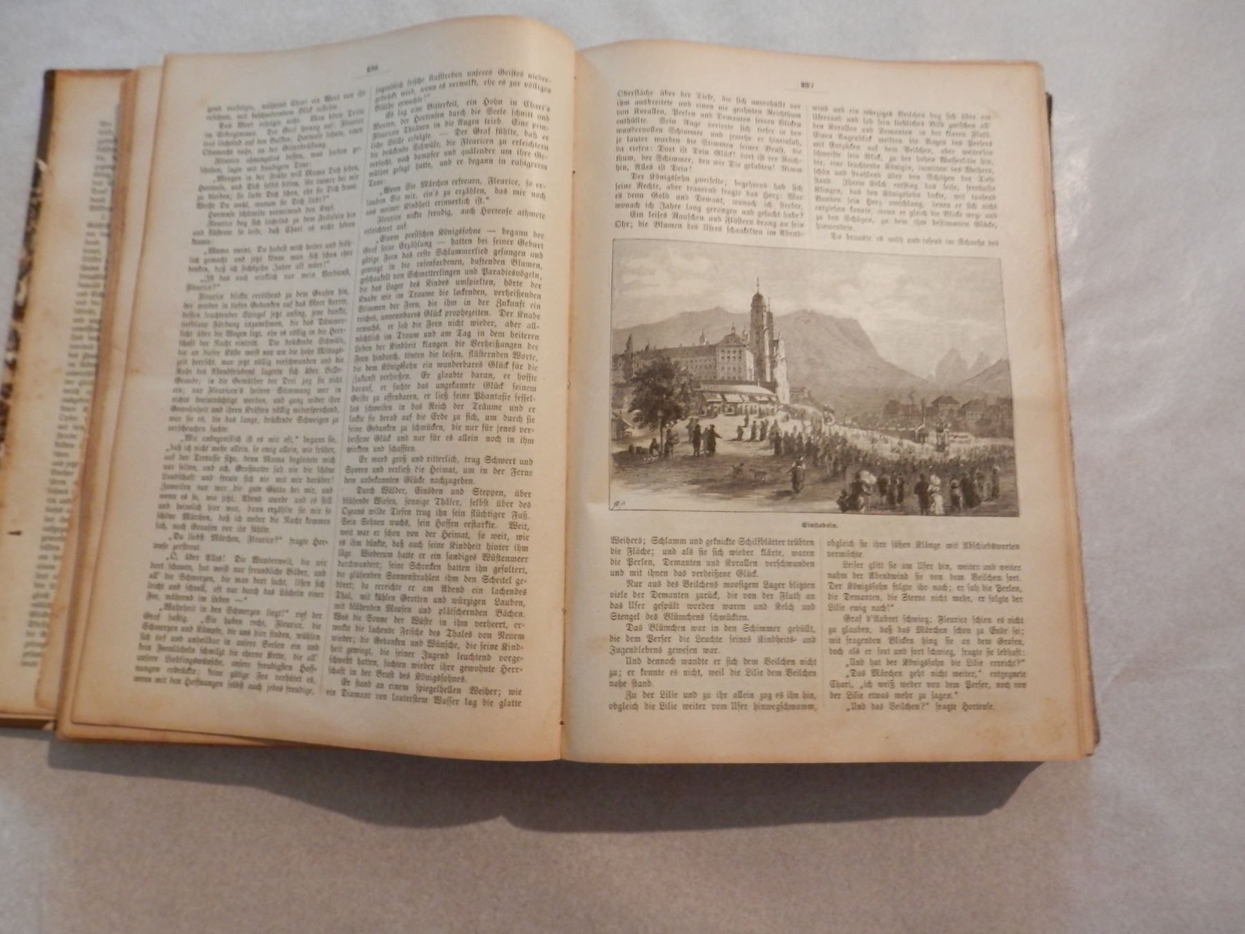 Libri: Christliche Abendruhe 1890-1891 – Usato da Weiach venduto da weiach82 4