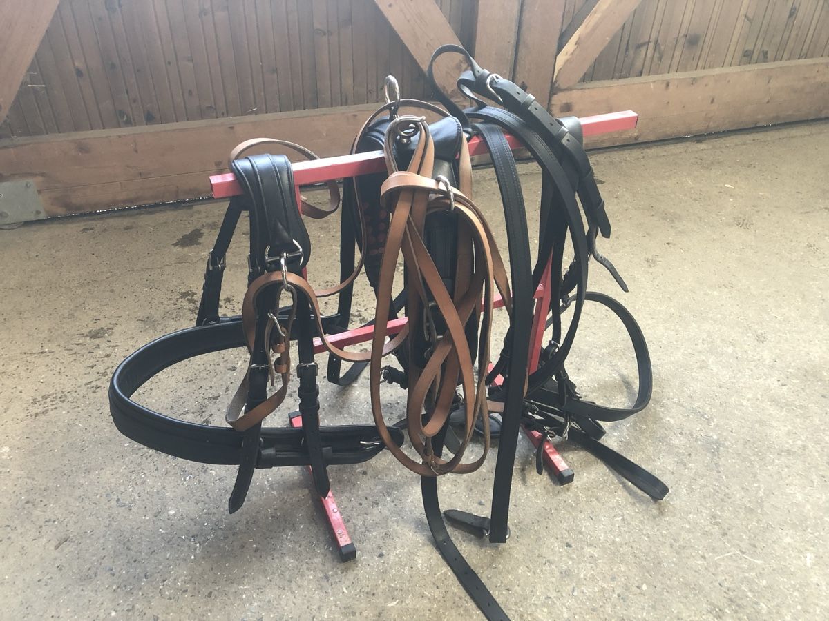 Kutschen: Char marathon et harnais pour poney – Gebraucht aus Etagnières von arnaudreichenbach 8