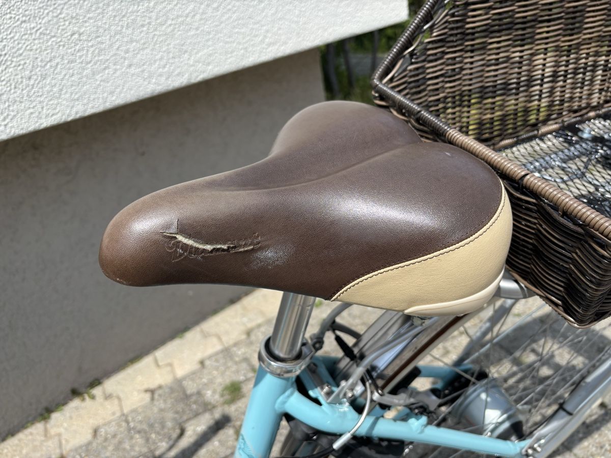 Diamant Velos: Damenfahrrad Diamant – Gebraucht aus Gwatt (Thun) von Gwatt99 3