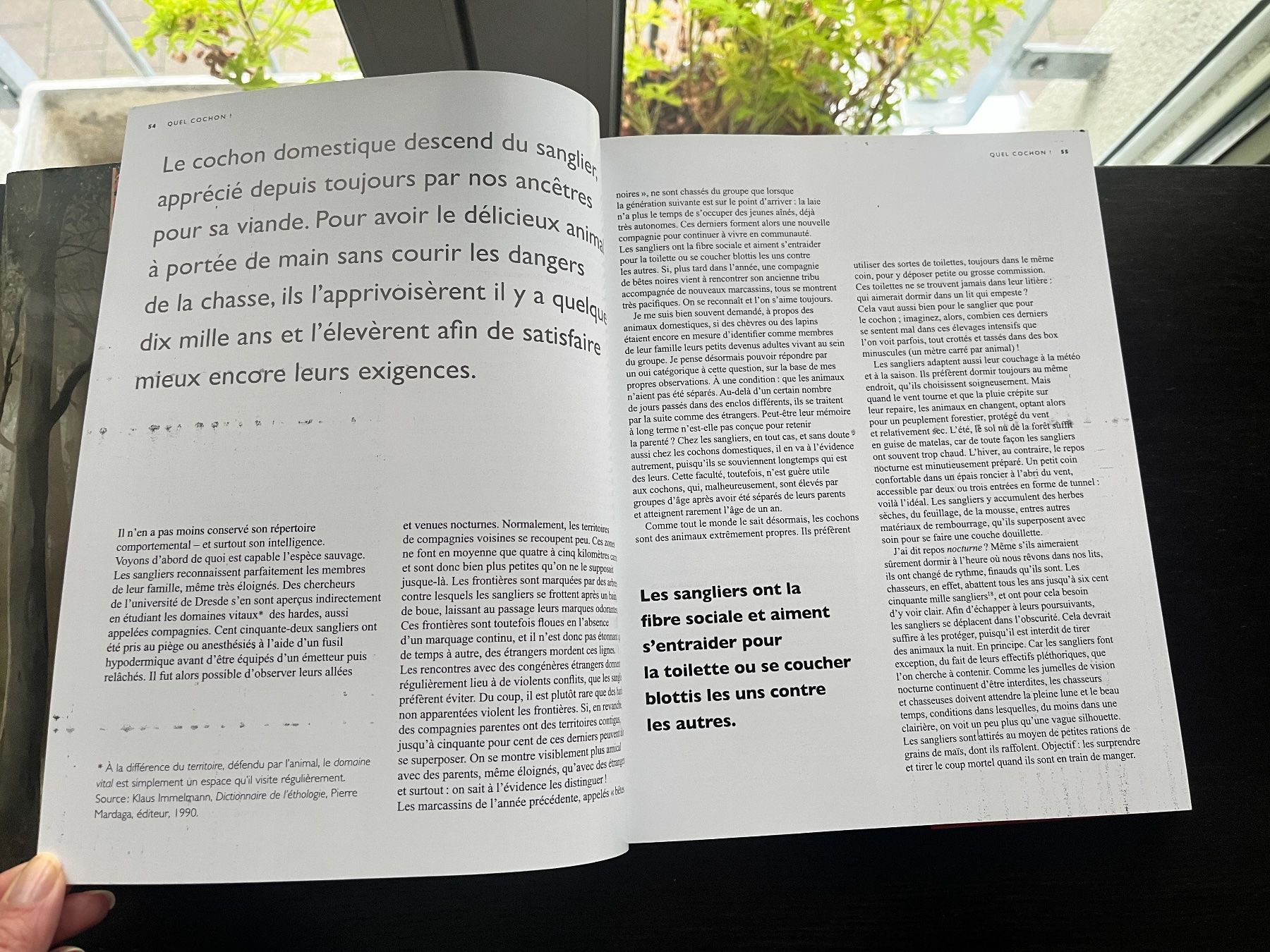 Libri: Peter Wohlleben: La Vie secrète des animaux – Usato da Lausanne venduto da Kinga_Shopaholic 3