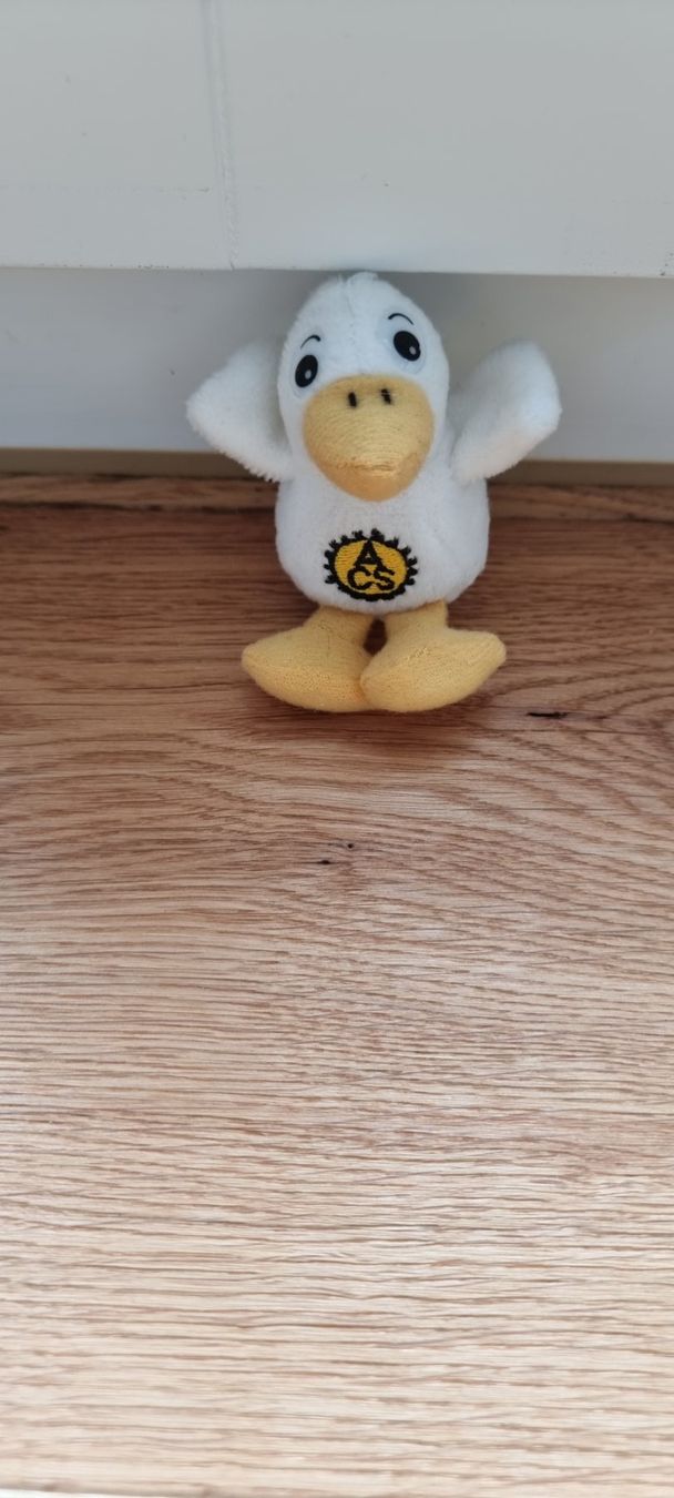 Spielzeuge: 2 Plüsch-Enten – Gebraucht aus Lachen SZ von allesweg78 1