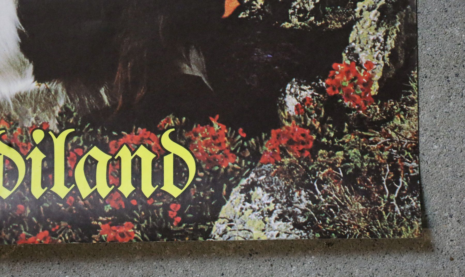 Foto & Immagini: Plakat, Poster "St. Moritz Heidiland" 1978 – Usato da Birrwil venduto da brandschatz_birrwil 6