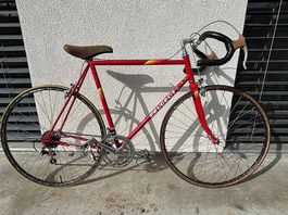 Vintage/Retro Rennrad Peugeot 12 vitesses