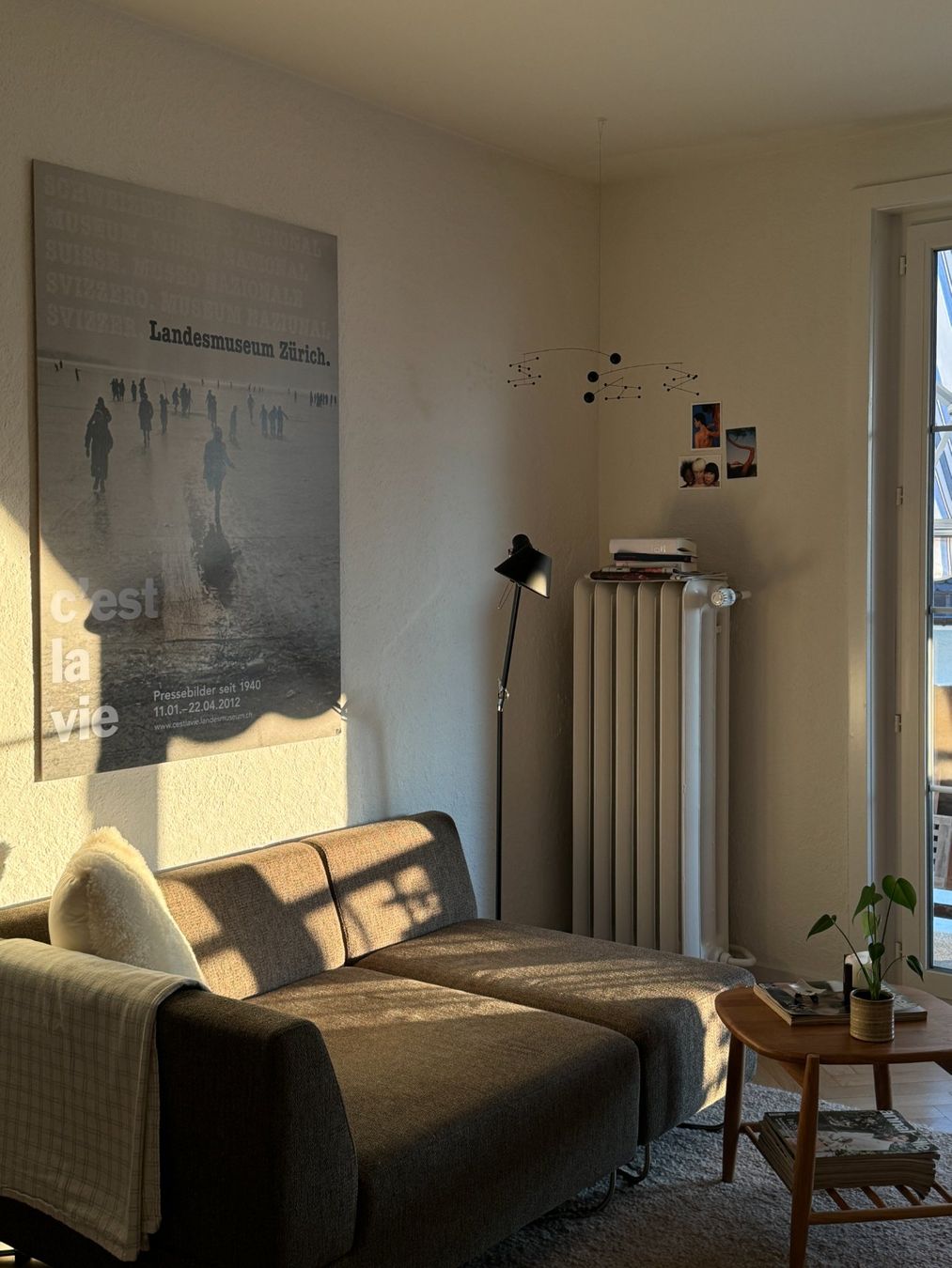 Bolia Sofas: Bolia Sofa in Braun – D'occasion à Zürich par goebelclara 2