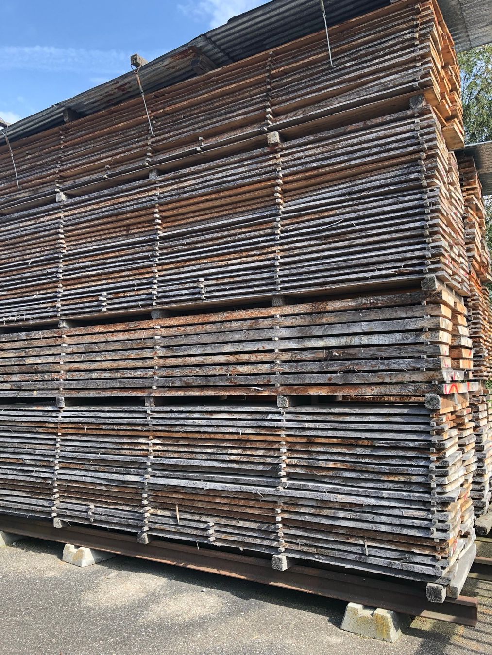 Articoli in legno: Klotzbretter – Nuovo (secondo la descrizione) da Hochdorf venduto da Sifrag