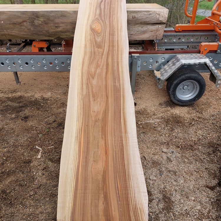 Articoli in legno: Ulme Brett 70mm – Nuovo (secondo la descrizione) da Waldkirch venduto da bauprofi87 1