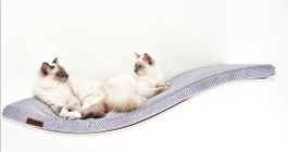 Lit pour chat - Etagère Design