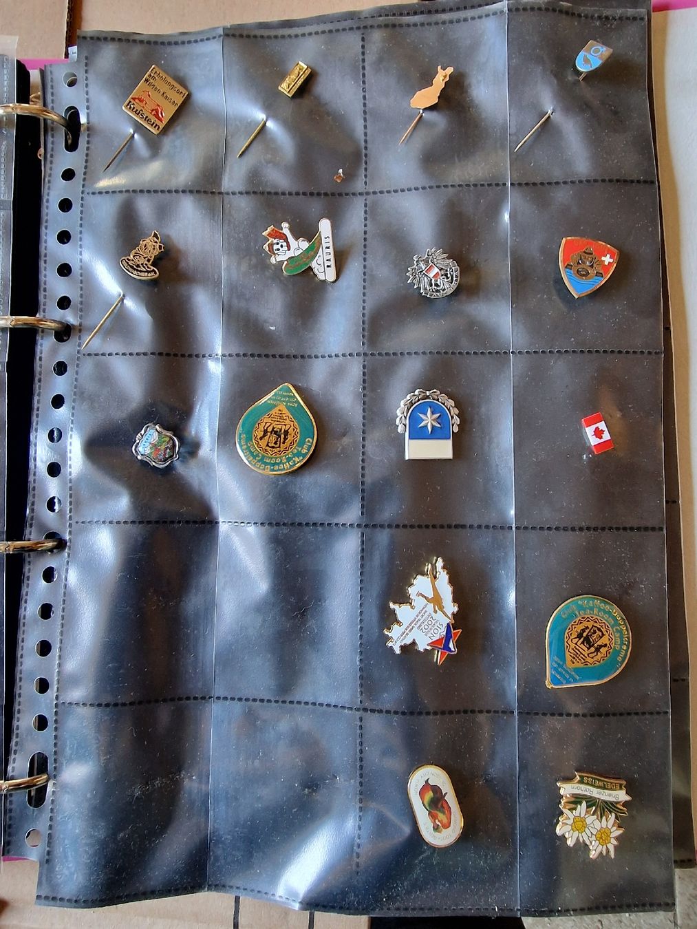 Placchette & Badge: Collection de pins divers dans classeur – Usato da Delémont venduto da youhoucans 3