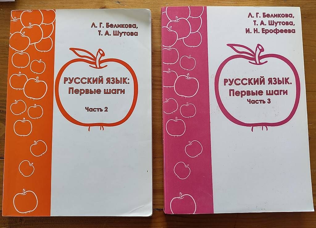 Libri: Lernmaterialien Russisch – Usato da Zürich venduto da Ardilla83 4