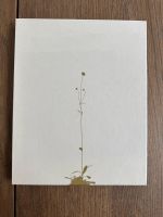 Eric Poitevin – Van Cleef & Arpels, Bildband, Toluca 2023