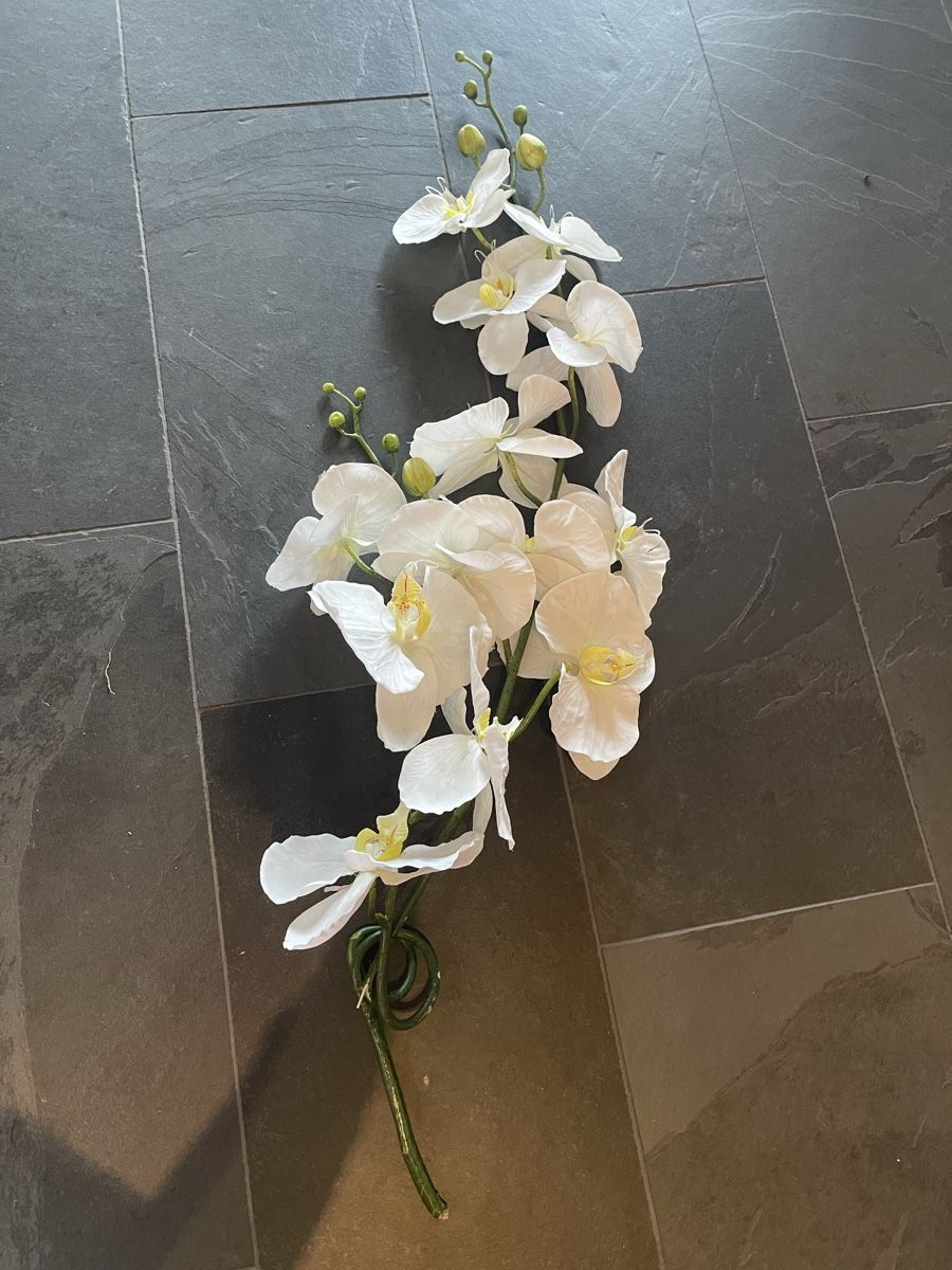 Piante & sementi: Künstliche Orchidee in Weiss / Creme – Usato da Bassersdorf venduto da Sandy456