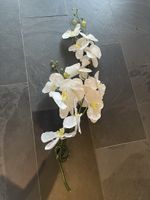 Künstliche Orchidee in Weiss / Creme