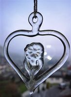 Blume Fensterbild Glas