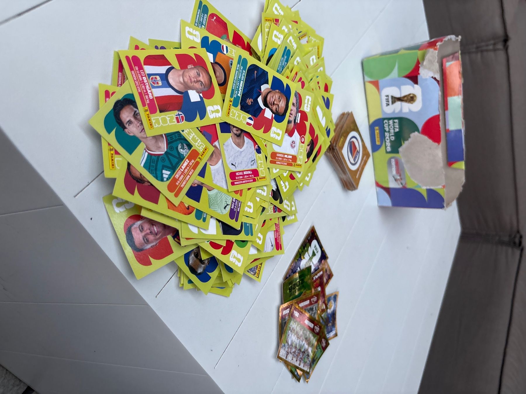 Panini Carte collezionabili: panini 2026 – Usato da Landquart venduto da nimali