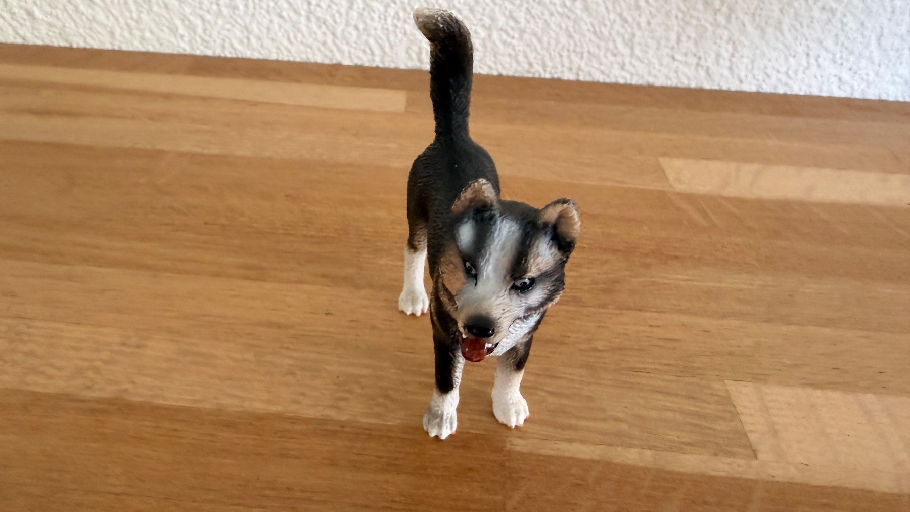 Schleich Giocattoli: SCHLEICH - Husky 16371 – Usato da Winterthur venduto da Secondhand-Family 1