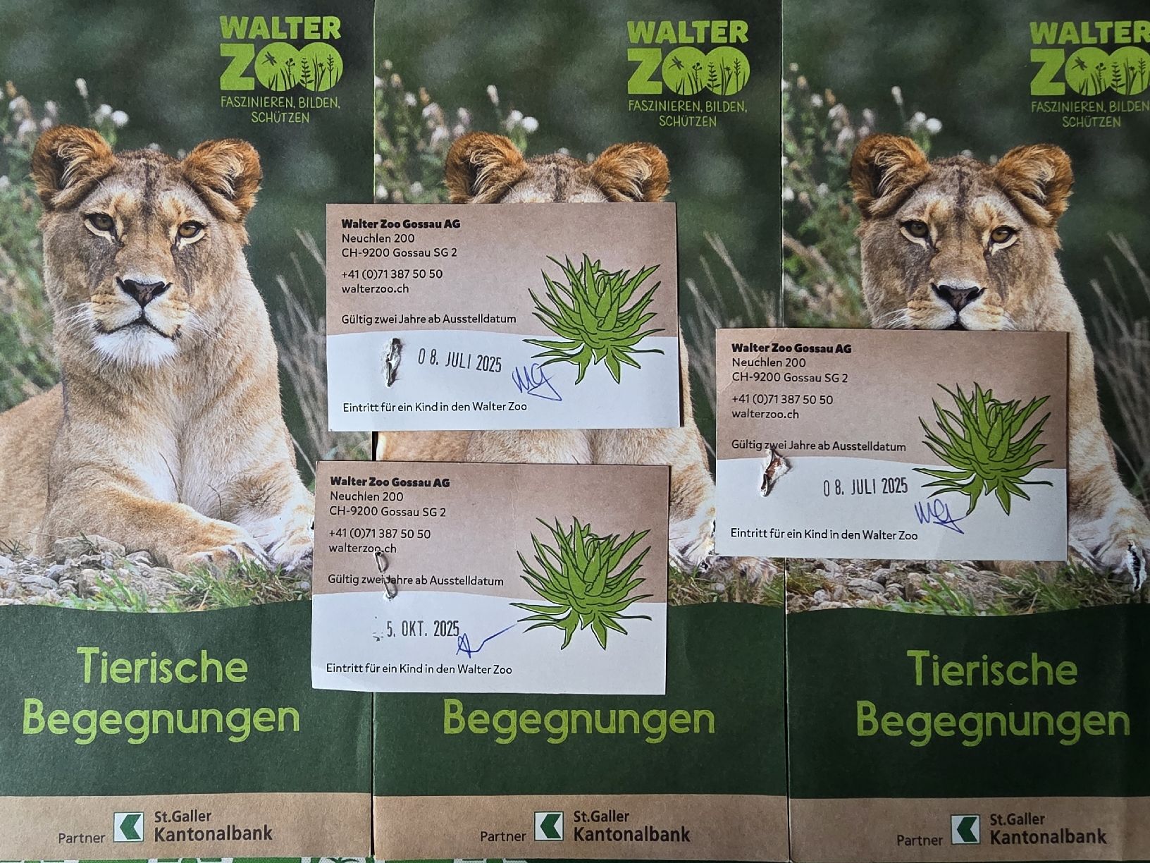 Buoni: Gutschein Walter Zoo 3× Kinder – Nuovo (secondo la descrizione) da Gossau SG venduto da worklifebalance 1