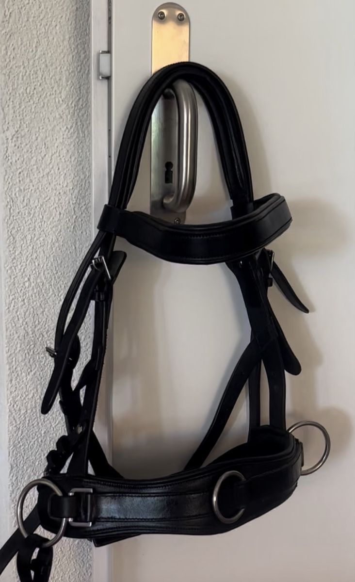 Briglie & Cavezze: Kappzaum Busse Fit pro – Nuovo (secondo la descrizione) da Hünenberg See venduto da Sunshine.26 2