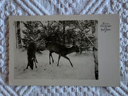 Ansichtskarte Neujahr, Foto von zwei Rehlein, gelaufen 1938