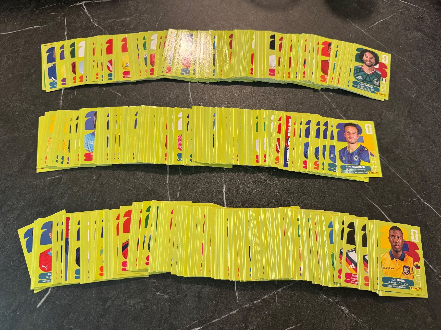 Panini Carte collezionabili: Ca. 550 Panini WM 2026 Sticker – Usato da Bern venduto da YB2590 1