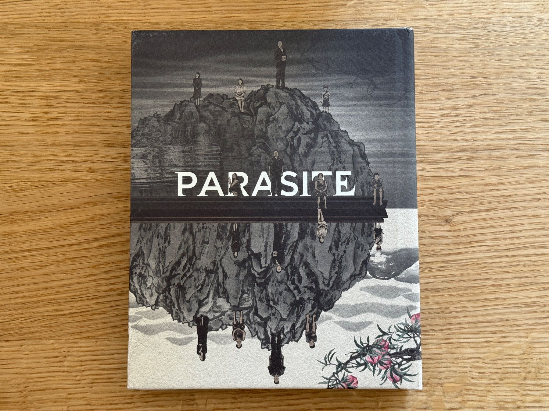 Tutti i DVDs: Parasite 4K Bluray – Usato da Wallisellen venduto da Art_Vendorlay 1