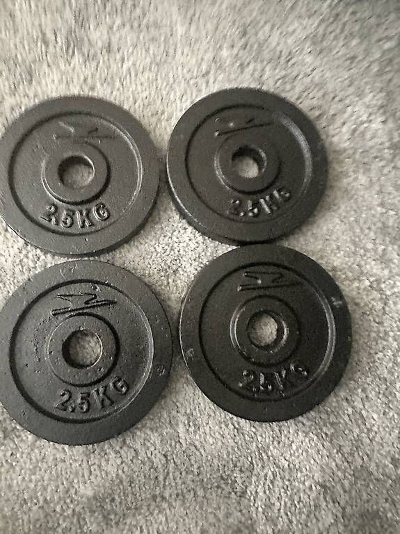 Manubri & Pesi: Crane - Hantelscheiben Set 4x 2.5kg – Usato da Wangen SZ venduto da Jaay_Sky 2