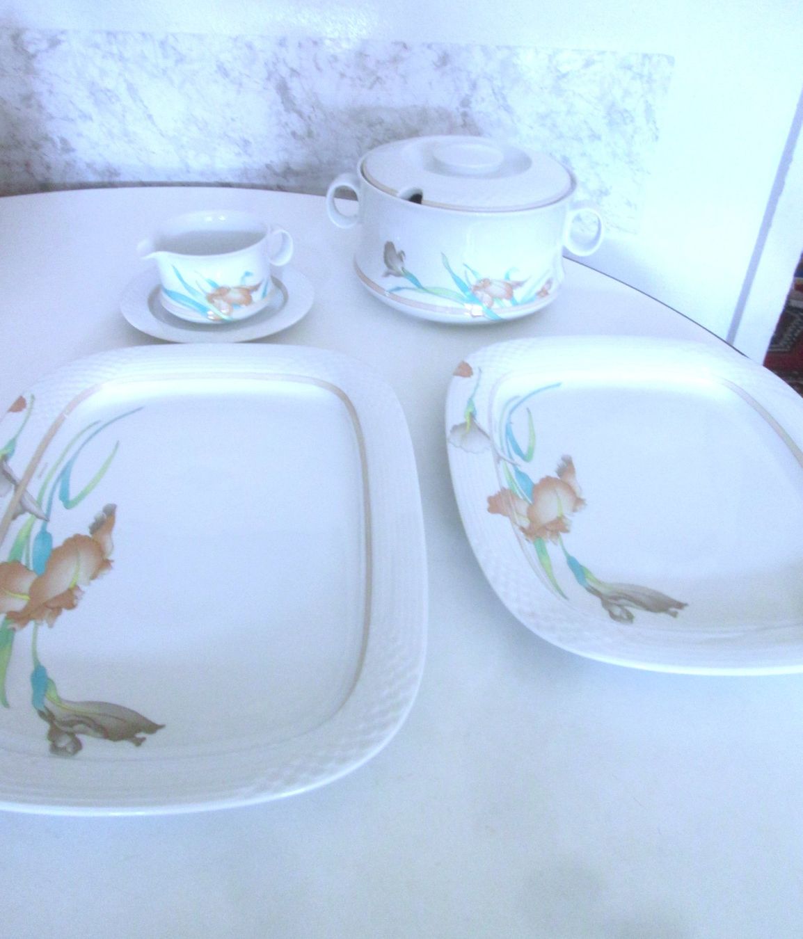 Set di piatti: Geschirr Leonard Decor Esteril, neu – Nuovo (secondo la descrizione) da Sementina venduto da babucia