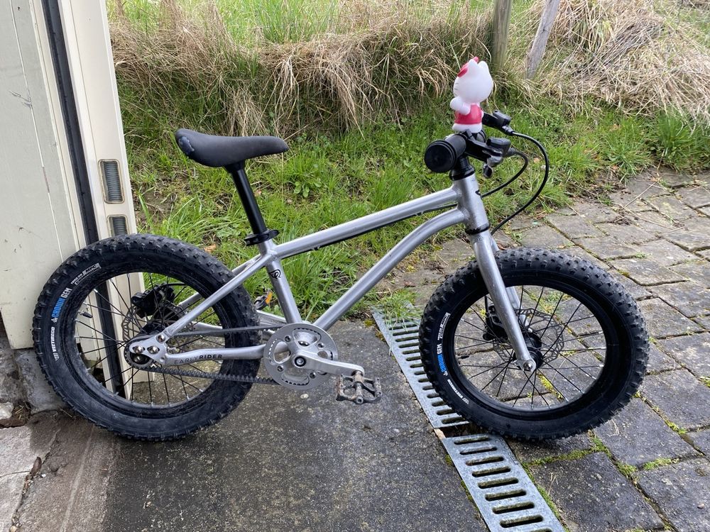 Early Rider 16 Zoll Scheibenbremsen (Gebraucht) in Wabern für CHF 330 ...
