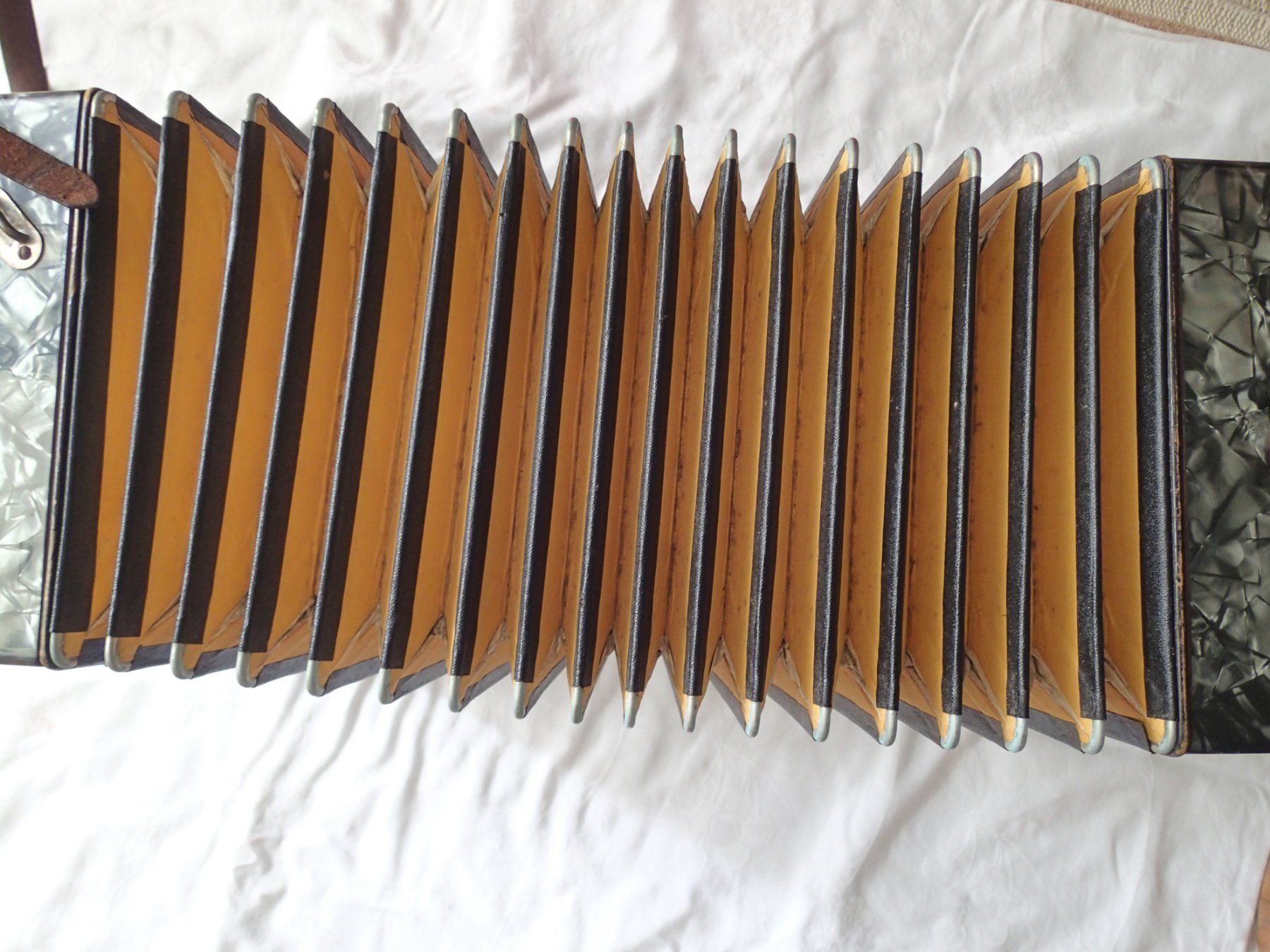 Hohner Strumenti musicali: HOHNER CLAUDE SCALA – Usato da Allschwil venduto da Salus17 4