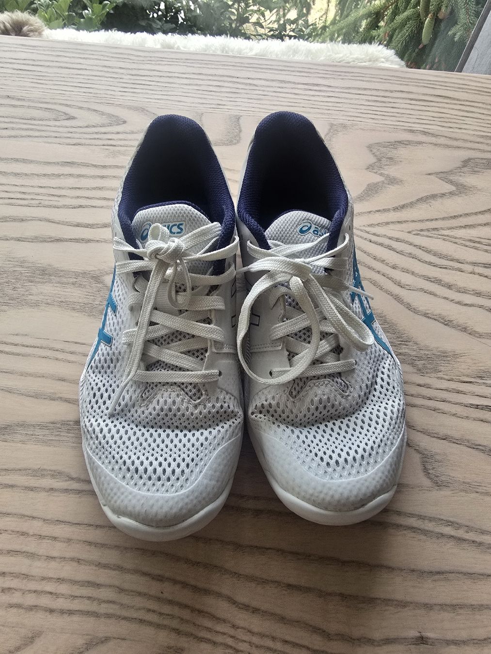 Asics Scarpe da uomo: Asics Hallenturnschuh – Usato da Stettlen venduto da MissFinti 1