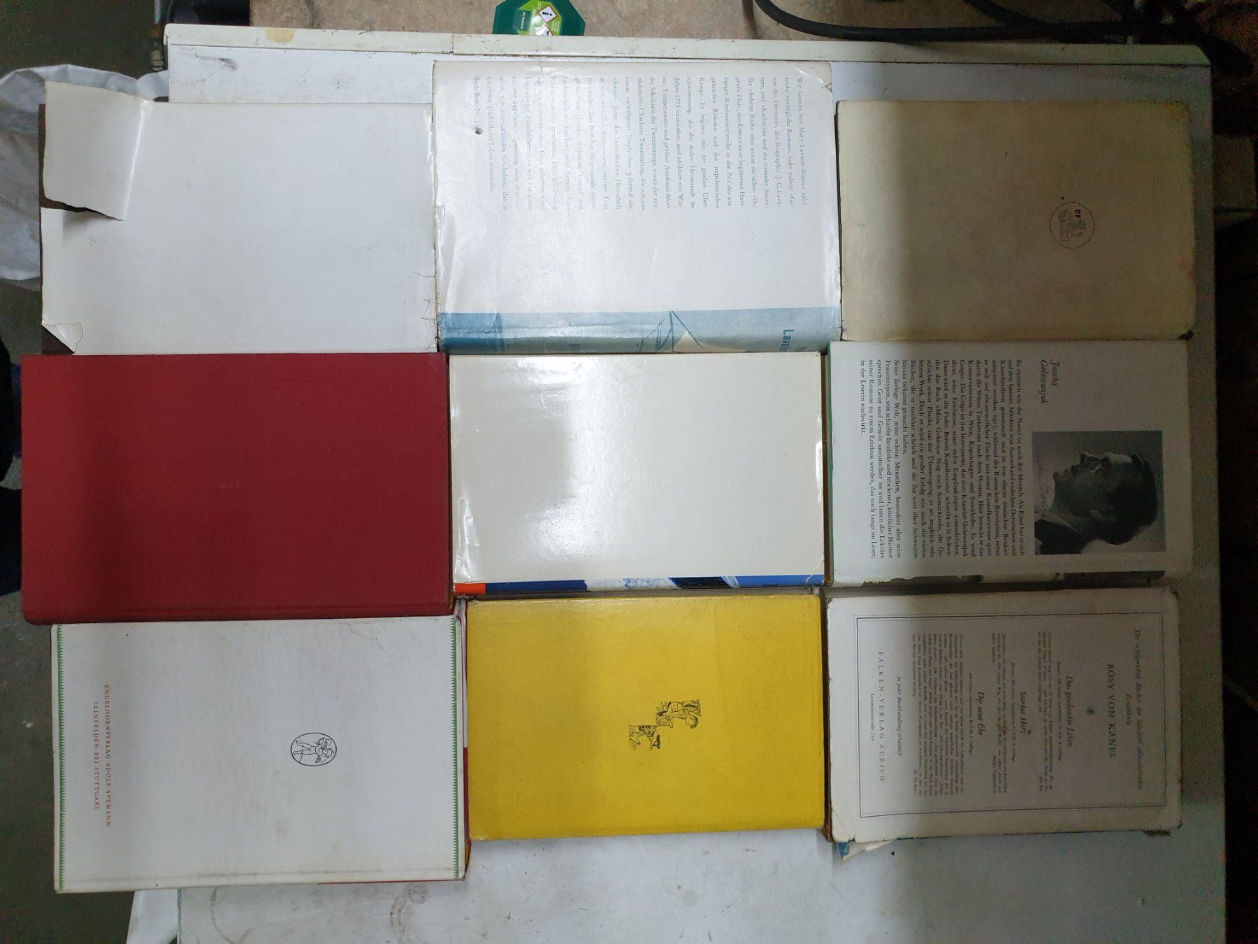 Libri: Alte  Antike  Bücher – Usato da Schönengrund venduto da lia_t65g 1