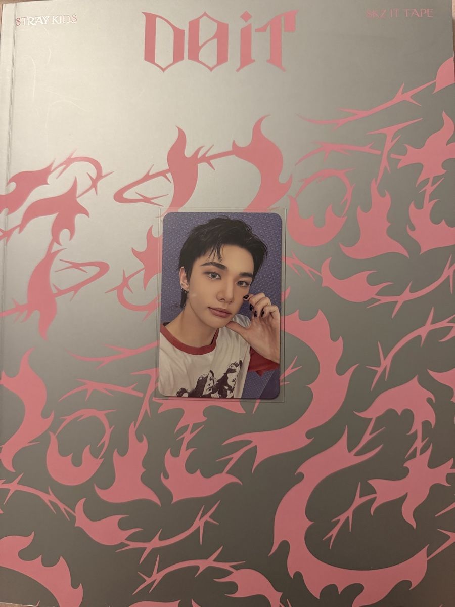 Cartoline: Hyunjin do it pc - accordion ver – Nuovo (secondo la descrizione) da La Chaux de fonds venduto da swisscompagny