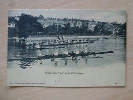 AK Rudersport auf dem Zürichsee