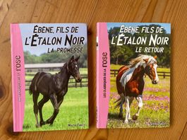 Bibliothèque rose - L'Étalon Noir -8-12 ans