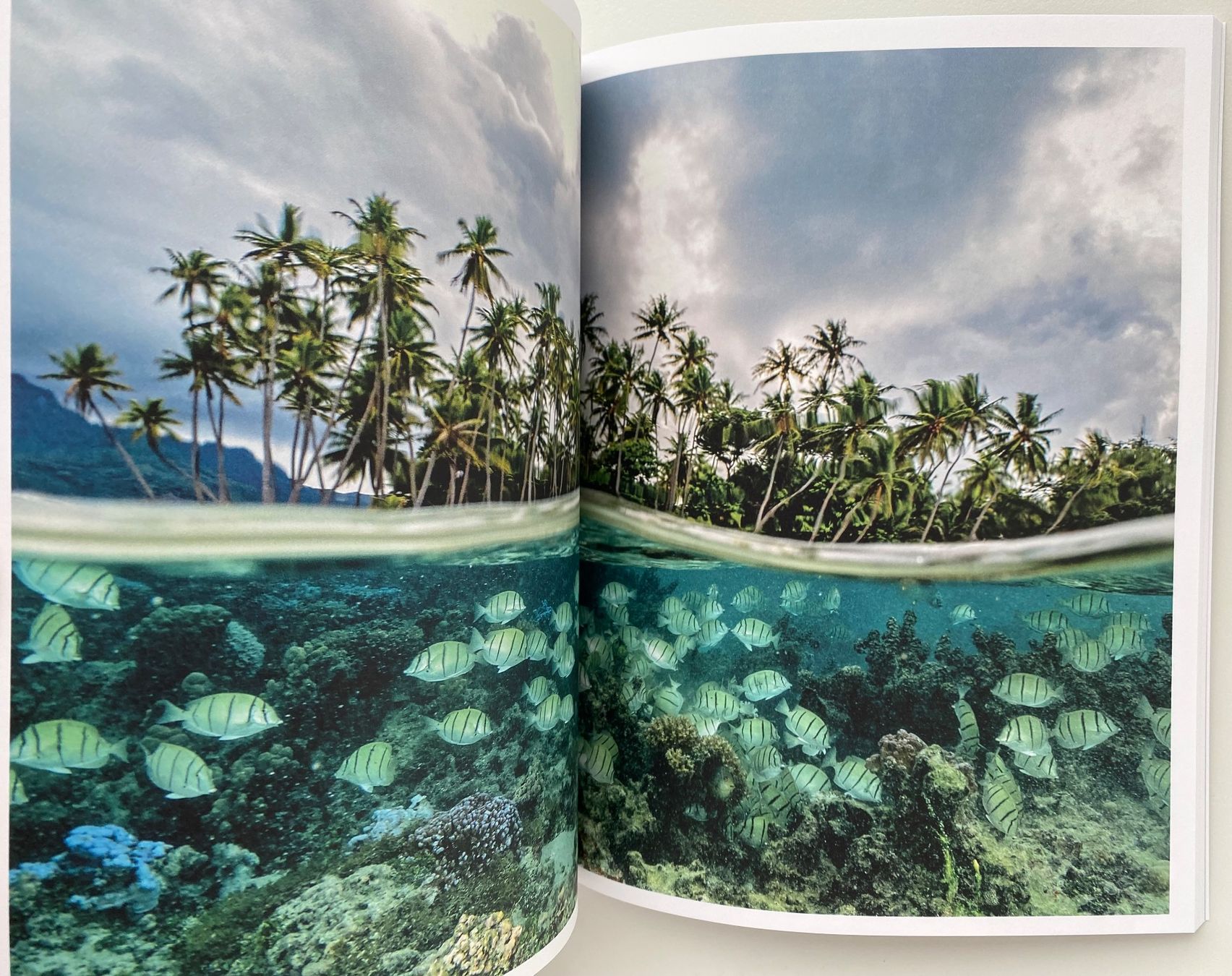 Zeitschriften & Magazine: Magazine Rolex - Initiative Perpetual Planet – Neu und originalverpackt aus Peseux von Gilloss 4