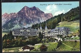 AK Engelberg /OW, Park-Hotel Sonnenberg