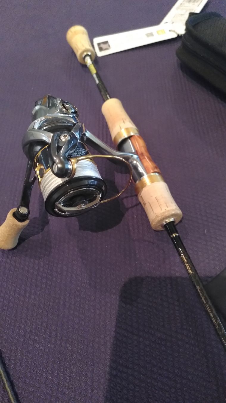 Shimano Canne da pesca: Graphite Leader Super Bellezza / Shimano Vanquish C2000HGS – Usato da Willerzell venduto da Evolve 6