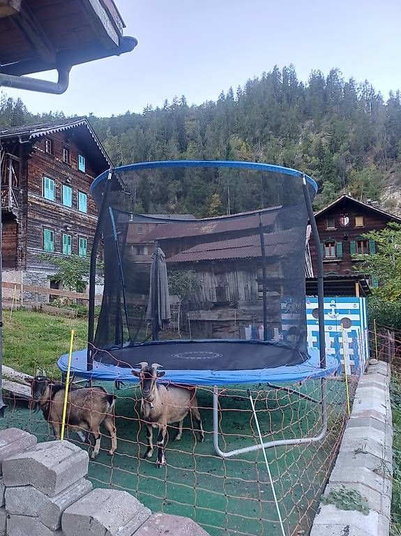 Trampoline: Trampoline 305cm – Gebraucht aus Beuson (Nendaz) von barbouille89