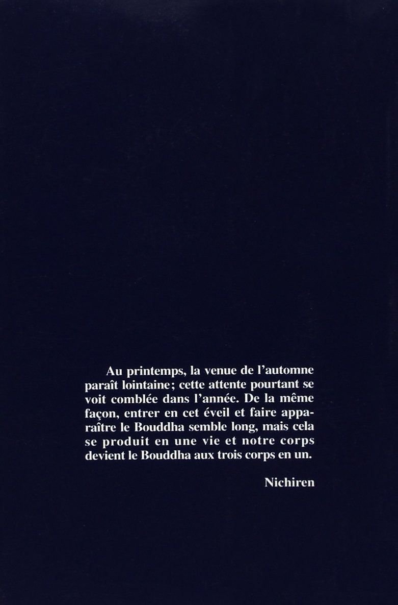 Libri: Devenir le bouddha – Usato da Neuchâtel venduto da Dualseele 1