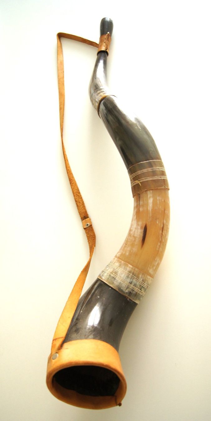 Strumenti musicali: Berrante; Horn der Gauchos aus Südamerika – Usato da Fribourg venduto da erw_68dx 4