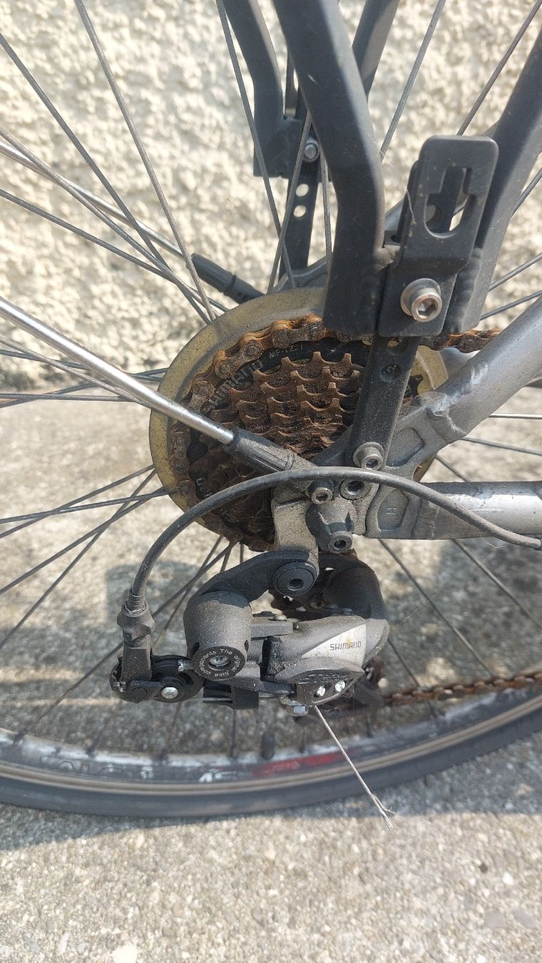 Leopard Velos: Leopard Elektro Velo gebraucht   – Gebraucht aus Solothurn von ewerus 2